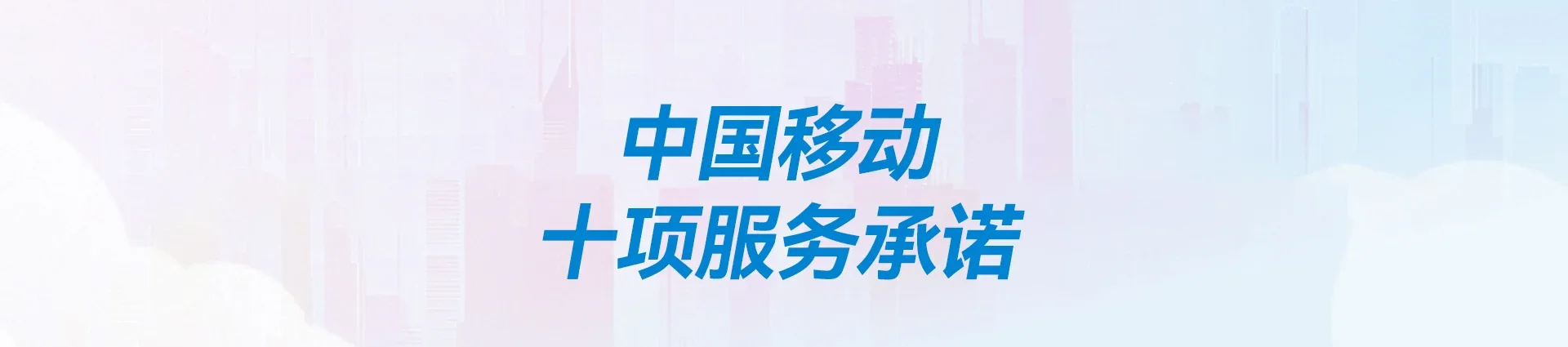 海南钢铁公司移动宽带
